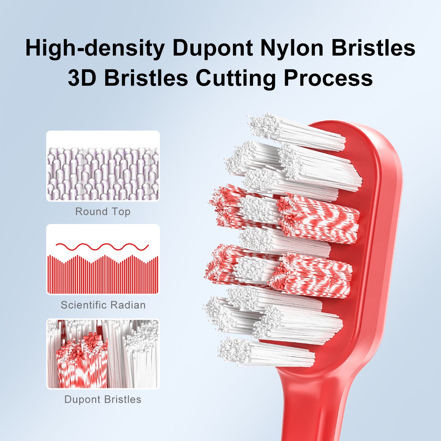 Reisefreundliche, batteriebetriebene Schall Zahnbürste mit starker Schalltechnologie – lange Batterielaufzeit, wasserdicht & besonders hygienisch