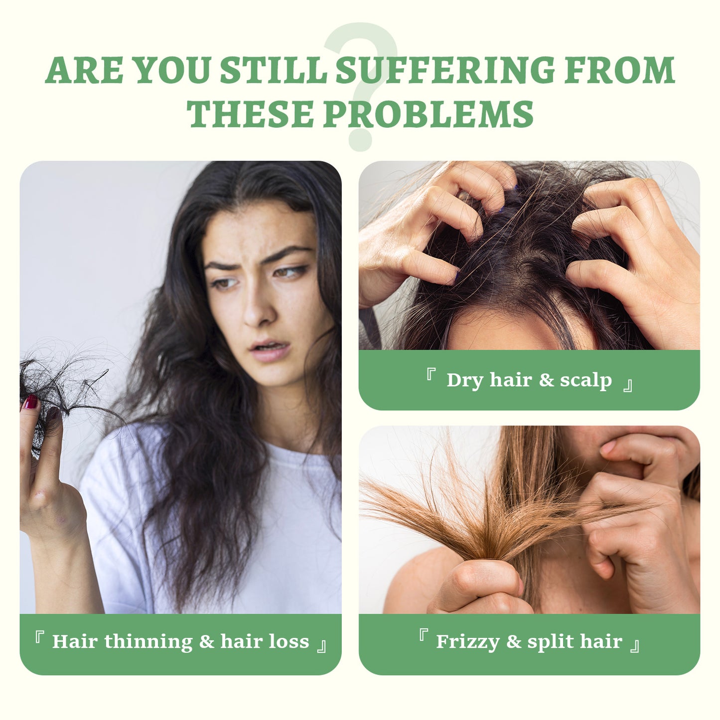 Rosmarin Shampoo mit Pflanzenextrakten, feuchtigkeitsspendende Pflege für sichtbar gepflegtes, trockenes und beschädigtes Haar, für Frauen und Männer